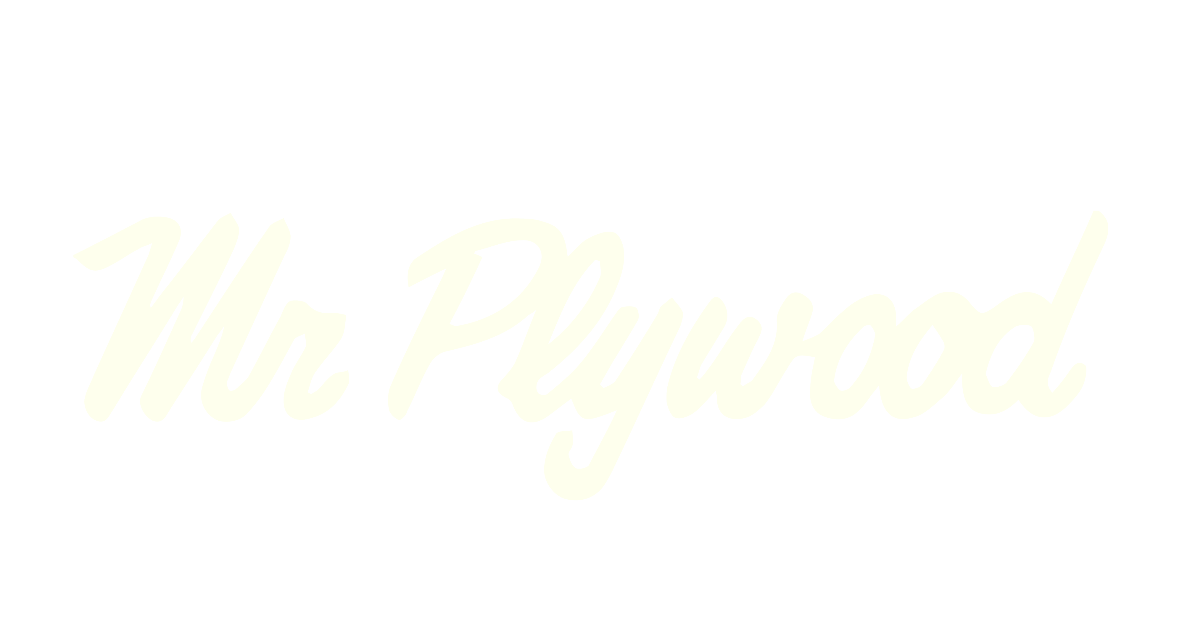 Mr Plywood